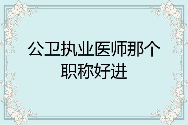 公卫执业医师那个职称好进