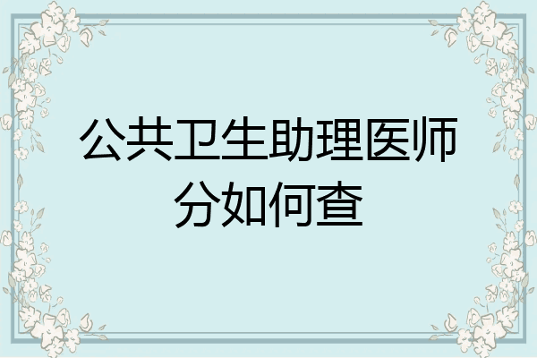 公共卫生助理医师分如何查