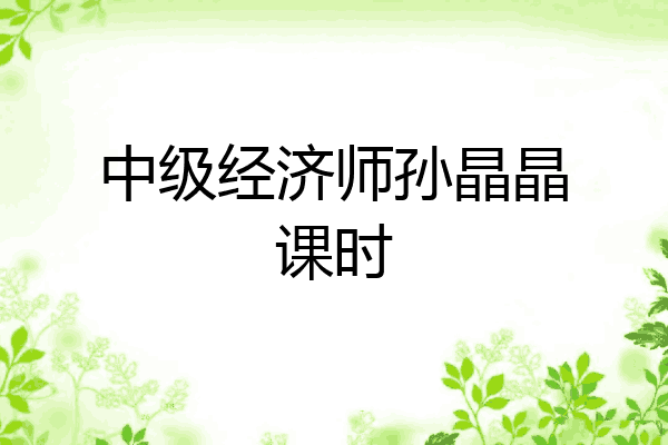 中级经济师孙晶晶课时