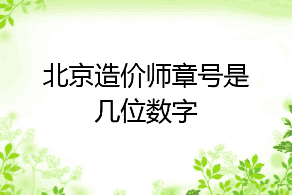 北京造价师章号是几位数字