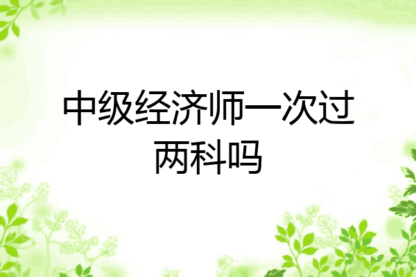 中级经济师一次过两科吗