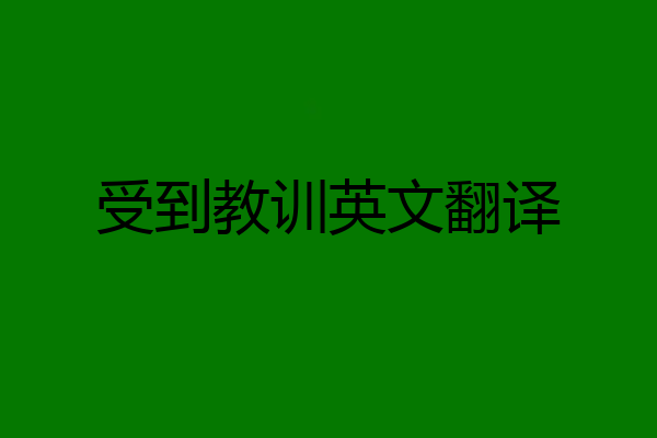 受到教训英文翻译