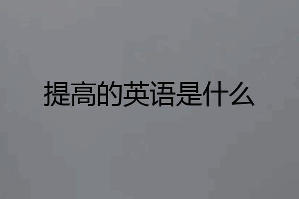 提高的英语是什么
