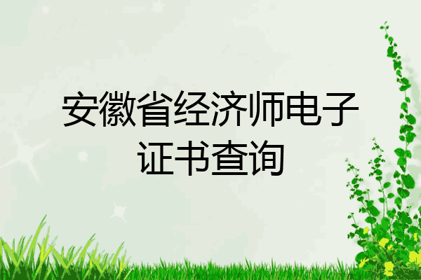 安徽省经济师电子证书查询