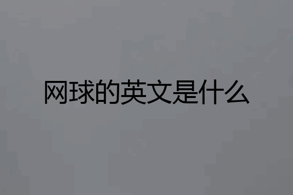 网球的英文是什么