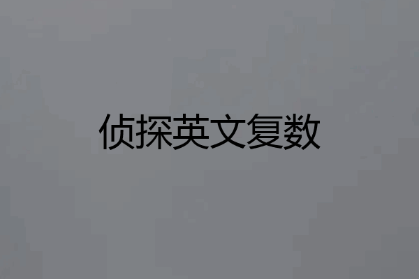 侦探英文复数
