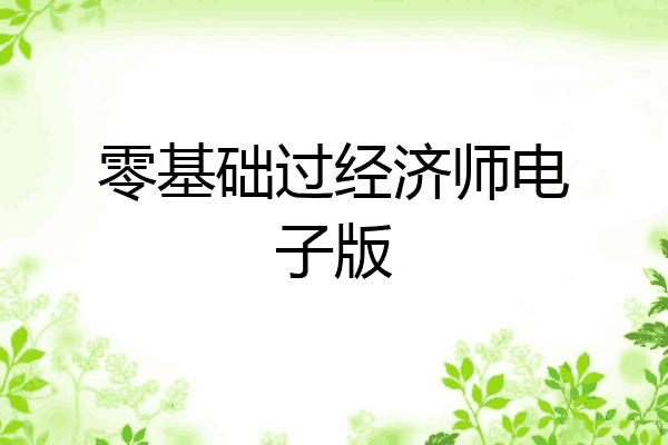 零基础过经济师电子版