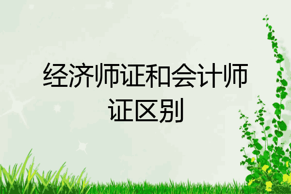 经济师证和会计师证区别