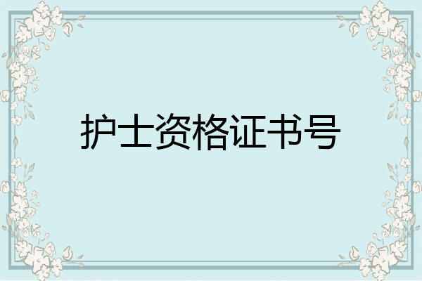 护士资格证书号
