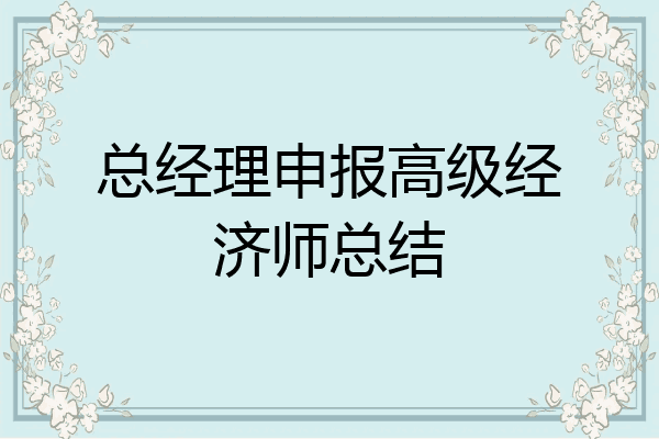 总经理申报高级经济师总结