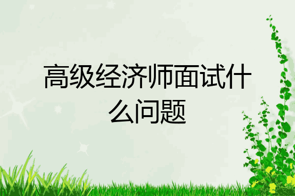 高级经济师面试什么问题