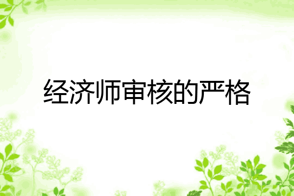 经济师审核的严格