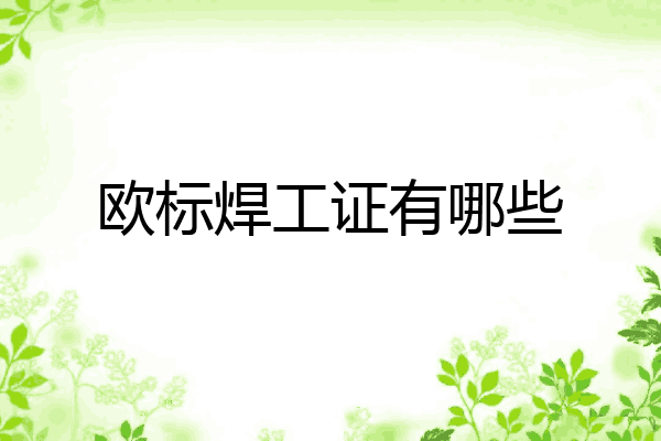 欧标焊工证有哪些