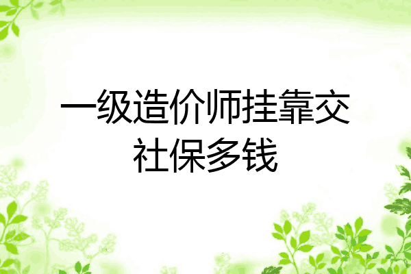 一级造价师挂靠交社保多钱