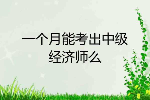 一个月能考出中级经济师么