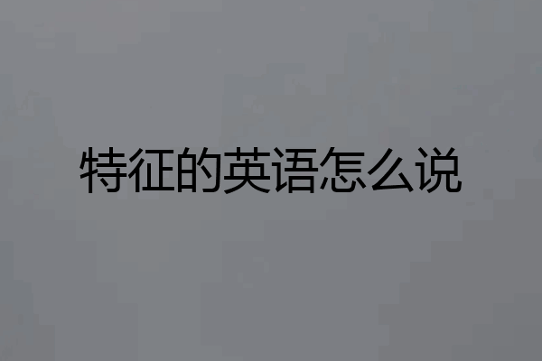 特征的英语怎么说