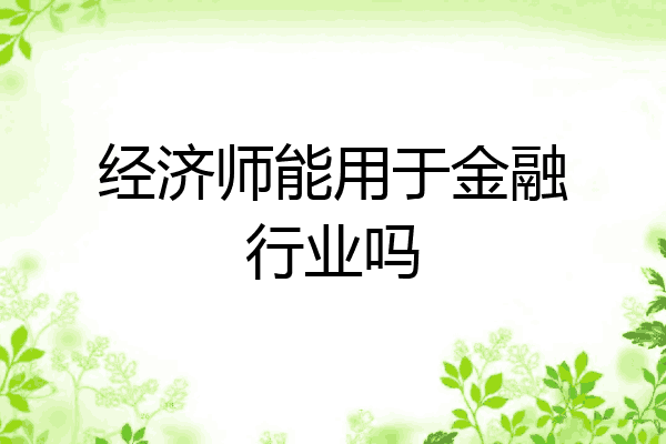 经济师能用于金融行业吗