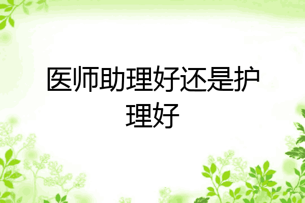 医师助理好还是护理好