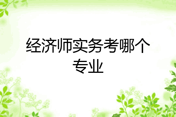 经济师实务考哪个专业