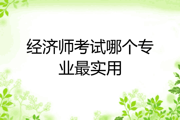 经济师考试哪个专业最实用