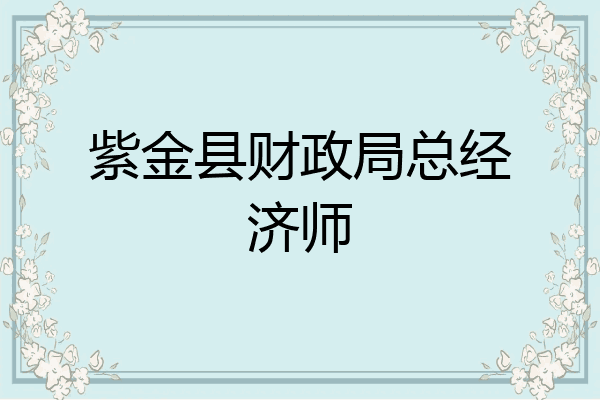 紫金县财政局总经济师