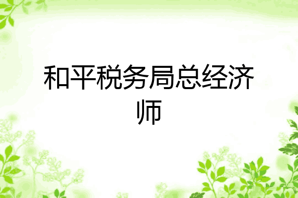 和平税务局总经济师