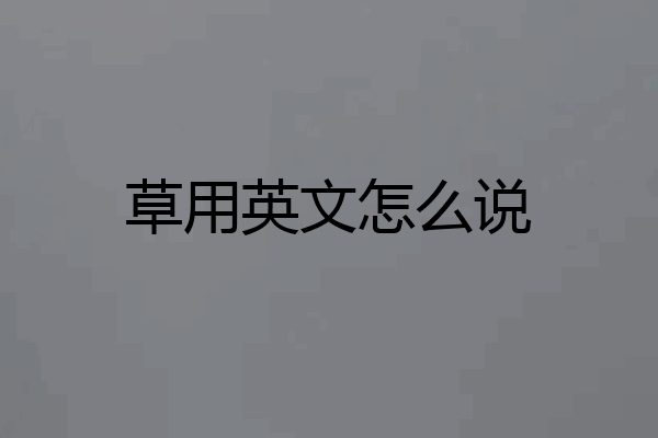 草用英文怎么说