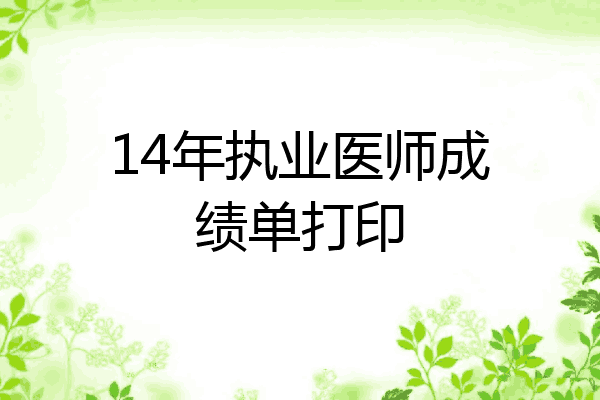 14年执业医师成绩单打印