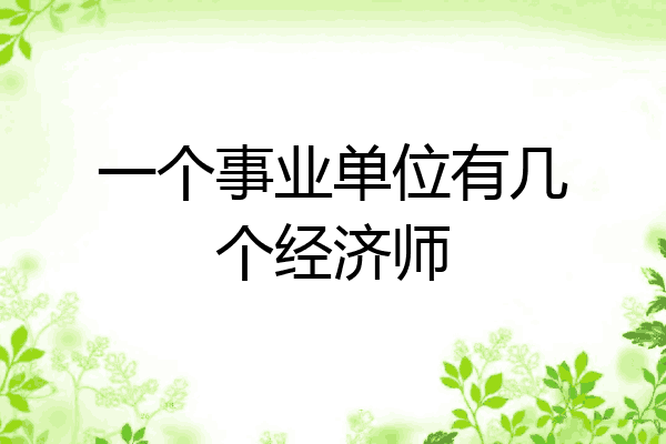 一个事业单位有几个经济师