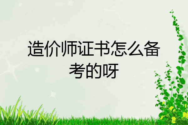 造价师证书怎么备考的呀