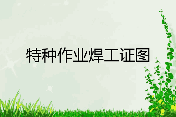 特种作业焊工证图