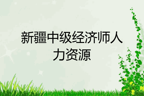 新疆中级经济师人力资源