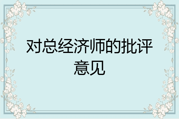 对总经济师的批评意见