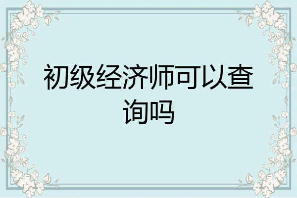 初级经济师可以查询吗