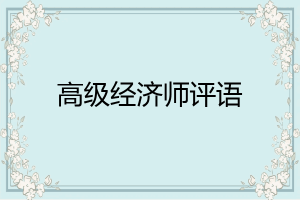 高级经济师评语