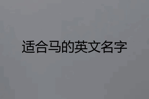 适合马的英文名字