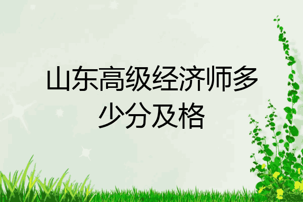 山东高级经济师多少分及格