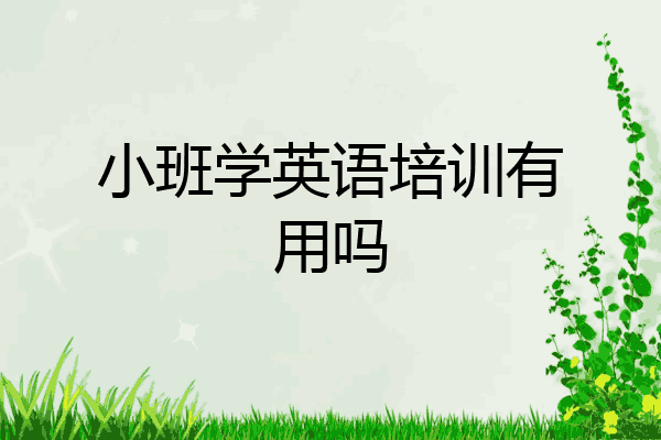 小班学英语培训有用吗