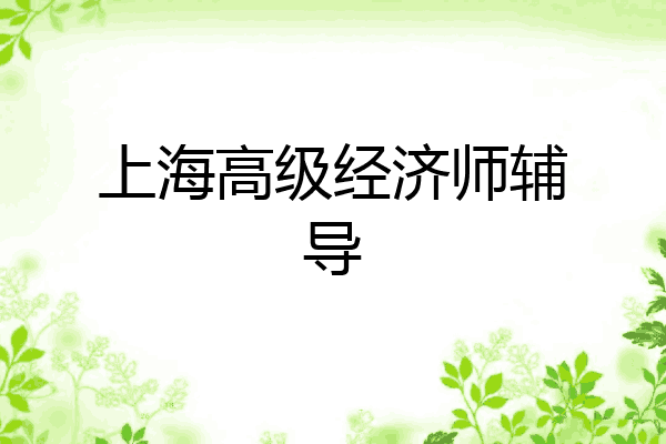 上海高级经济师辅导