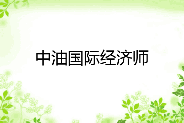 中油国际经济师