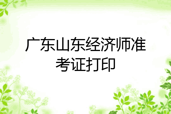 广东山东经济师准考证打印