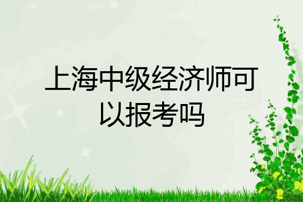 上海中级经济师可以报考吗