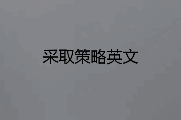 采取策略英文