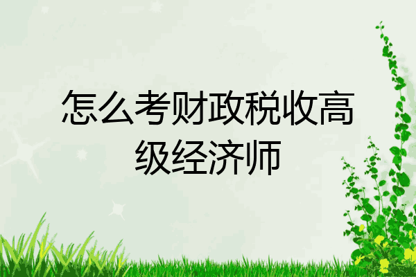 怎么考财政税收高级经济师