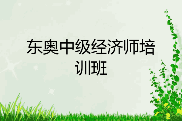 东奥中级经济师培训班