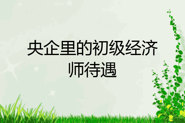 央企里的初级经济师待遇
