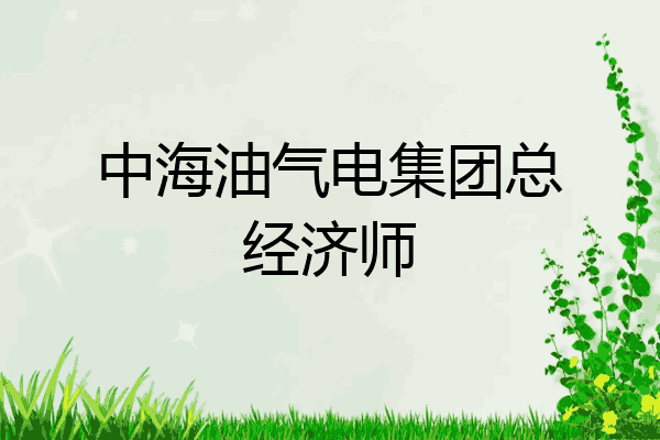 中海油气电集团总经济师