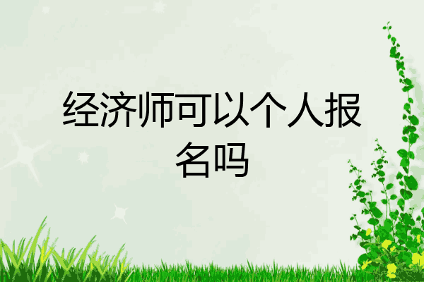 经济师可以个人报名吗