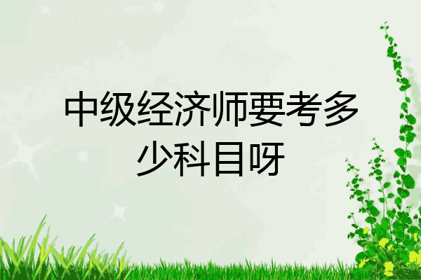 中级经济师要考多少科目呀