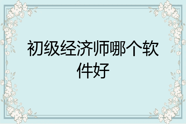 初级经济师哪个软件好